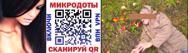 Галлюциногенные грибы Cubensis  Чухлома 